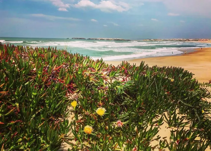 Boa Onda ゲストハウス アトウギア・ダ・バレイア