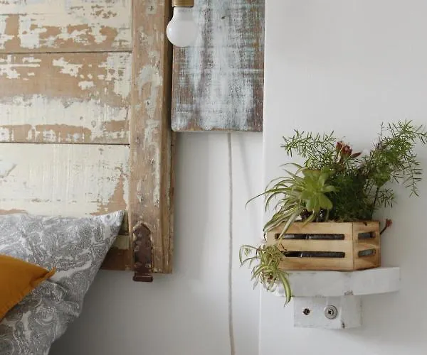 Boa Onda アトウギア・ダ・バレイア