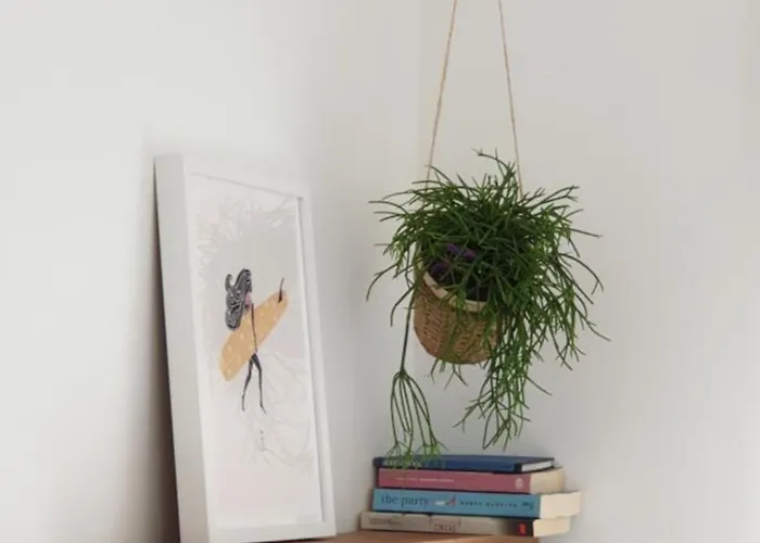 Boa Onda ゲストハウス *