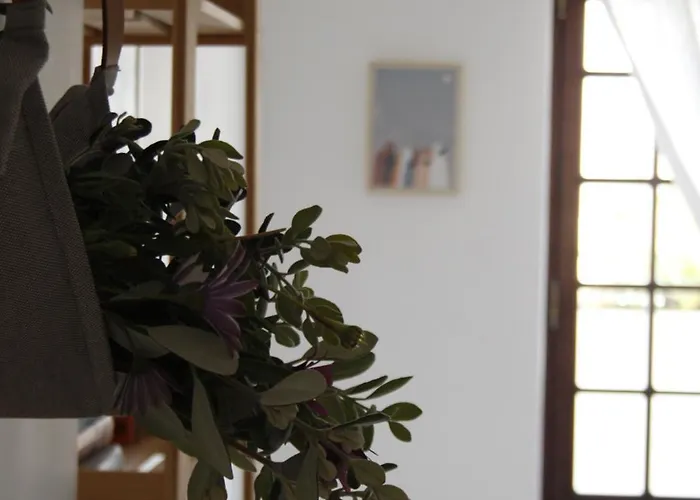 ゲストハウス Boa Onda *